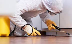 Best Pest Exclusion Services  in Panhandle, TX